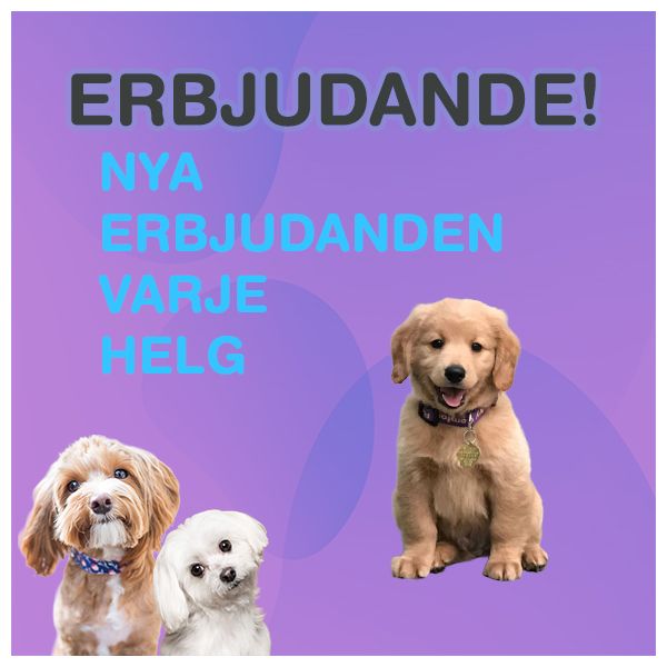 helg-erbjudande-01