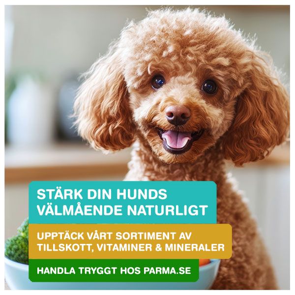 Upptäck vårt sortiment av tillskott, vitaminer och mineraler
