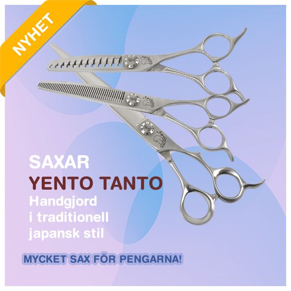 Yento Tanto - saxar