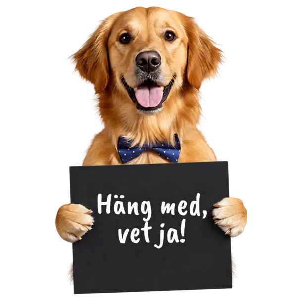 Glad hund med skylten H�ng med, vet ja!