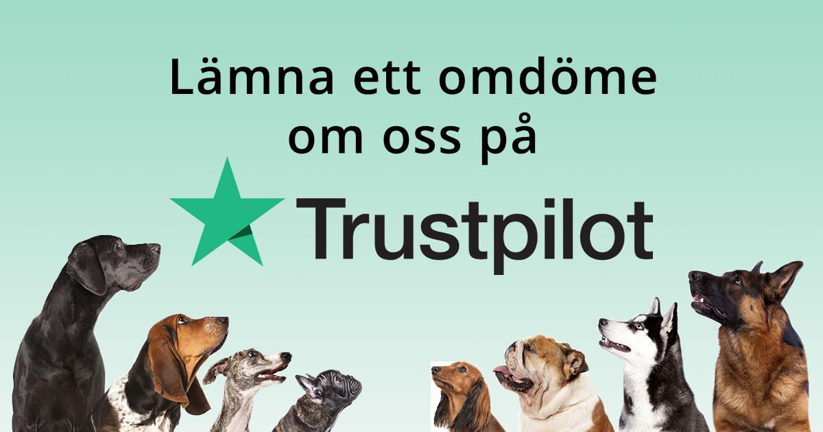 Trustpilot