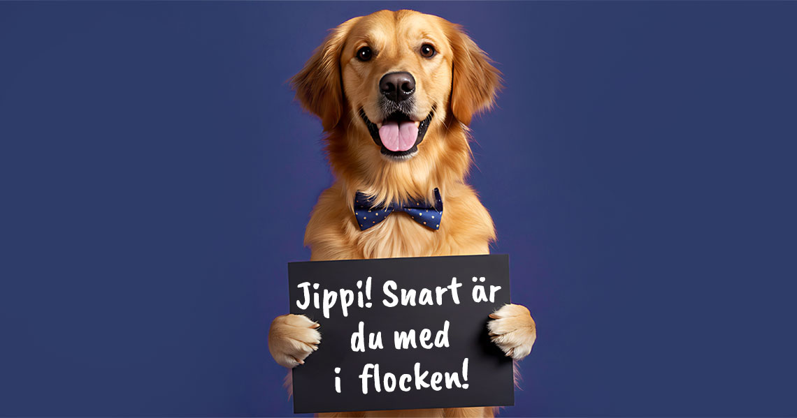 Registrering utförd - Bli företagskund hos ParmaZoo