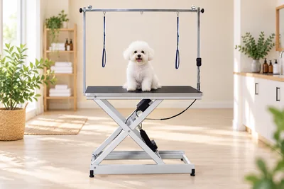 Elektriskt trimbord Jupiter med en hund p� bordet