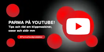 Besk ParmaZoo p YouTube