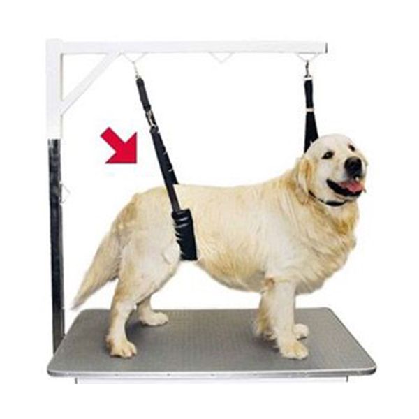Show tech comfort belly strap fr sm hundar
