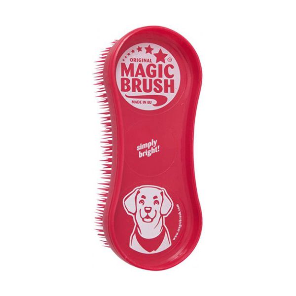 Magic Brush wild rose
