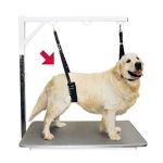 Show tech comfort belly strap fr sm hundar