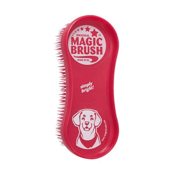 Magic Brush wild rose