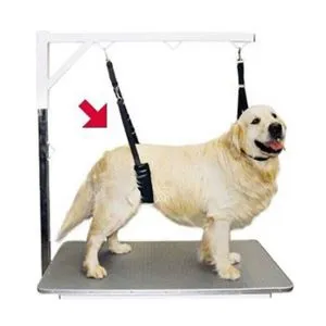 Show tech comfort belly strap fr sm hundar