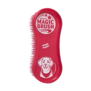 Magic Brush wild rose