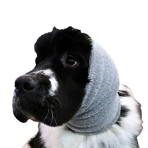 Show tech ear buddy XL gr�